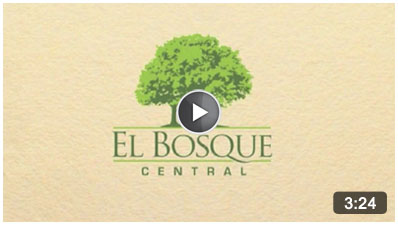 Video El Bosque