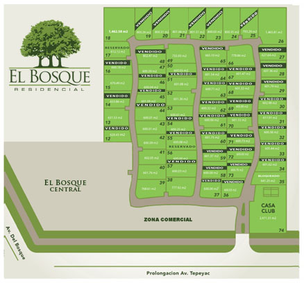 Distribución de lotes